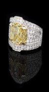 Engagement ring buyers in St. Petersburg Florida