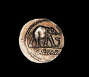 Greek coin dealers in St Pete FL